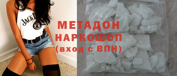 прущие грибы Алзамай