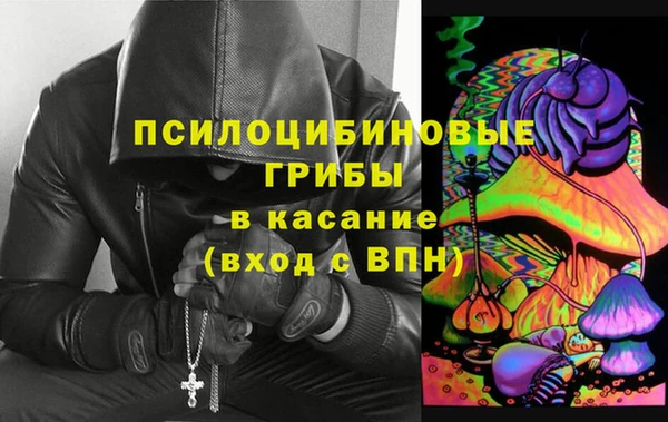 прущие грибы Алзамай