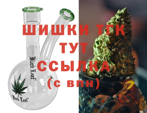 прущие грибы Алзамай
