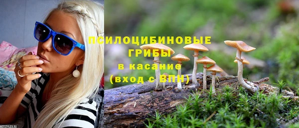 героин Алексин