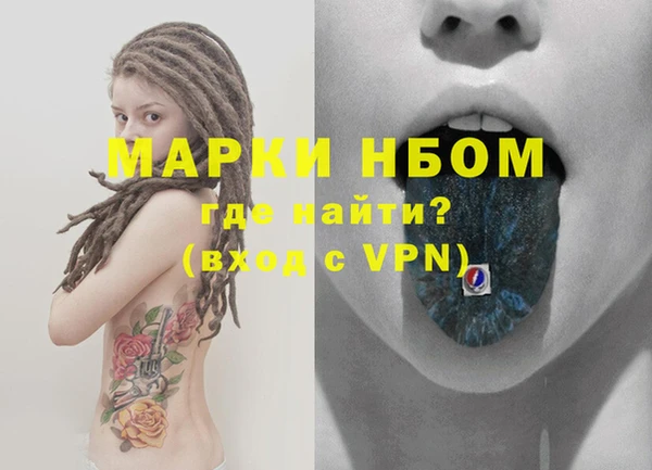 прущие грибы Алзамай
